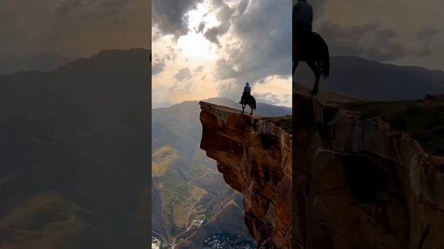 Государственный ПЛЕМЕННОЙ рассадник КАРАЧАЕВСКОЙ лошади