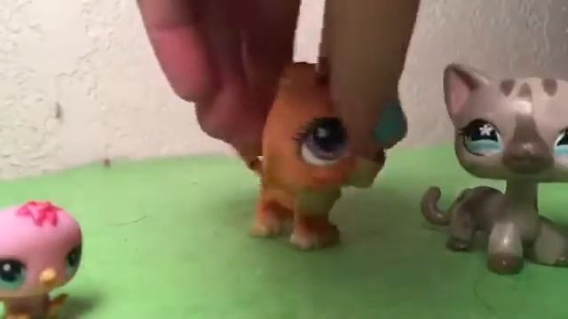 LPS Make A Difference Contest By LPS Winter Tiger смотреть онлайн