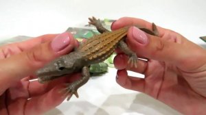 Болотные монстры&ко часть 2. Деагостини игрушки. Пробуем собрать всю коллекцию. #deagostini