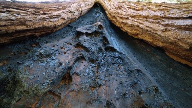 Национальный Парк Секвойи в Калифорнии. Такие места не забываются! смотреть онлайн
