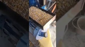 Кормоизмельчитель Эликор-1, исполнение 3