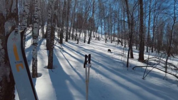 ЭКО тропа «Таёжник». Часть первая