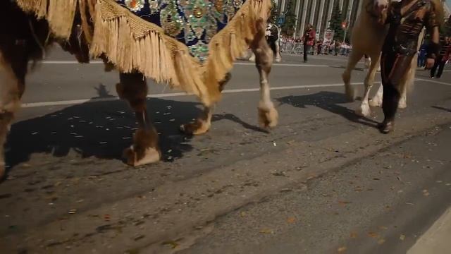Пермское Яркое 2016 (День города в Перми) смотреть онлайн