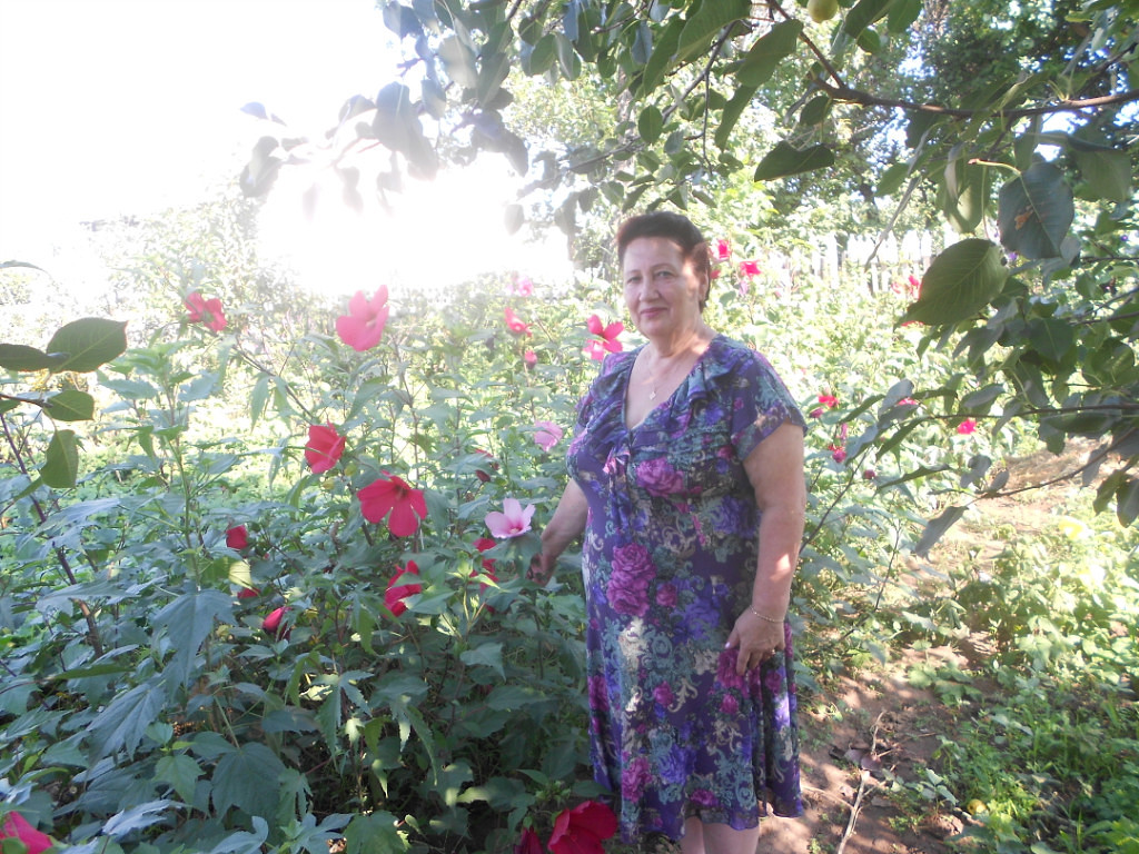 Гибискус комнатный_ Китайская роза_ Уход и размножение