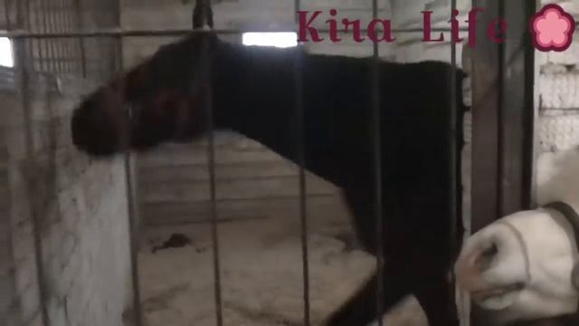 Отдых с детьми, отдых 2016, путешествие с ребенком, путешествие с детьми, путешествие на машине смотреть онлайн