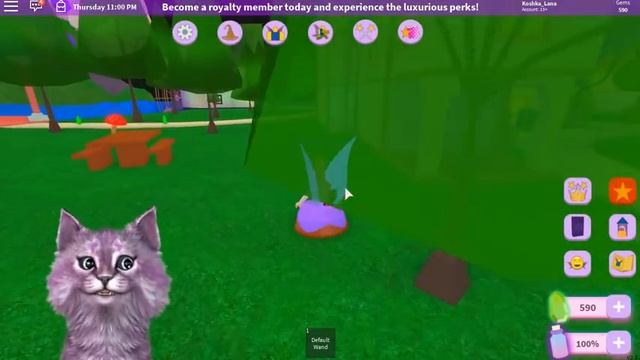 МИР ФЕЙ - ЭТО НОВАЯ ШКОЛА ФЕЙ ПРИНЦЕСС И РУСАЛОК?! играю в Fairy World в роблокс roblox смотреть онлайн