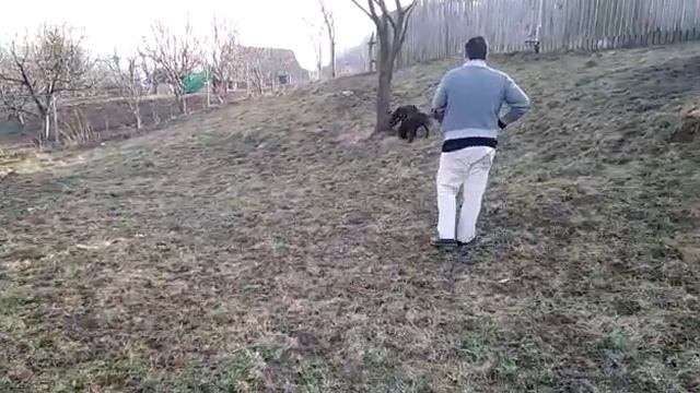 Mondial rosa смотреть онлайн