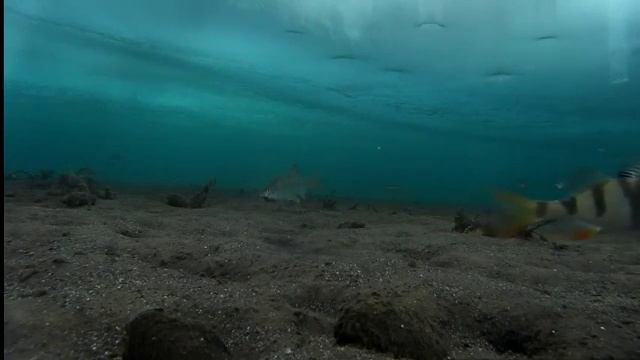 Рыбалка Братское водохранилище Молька подледная съемка ловли рыбы 19.02.16 ч.5 смотреть онлайн