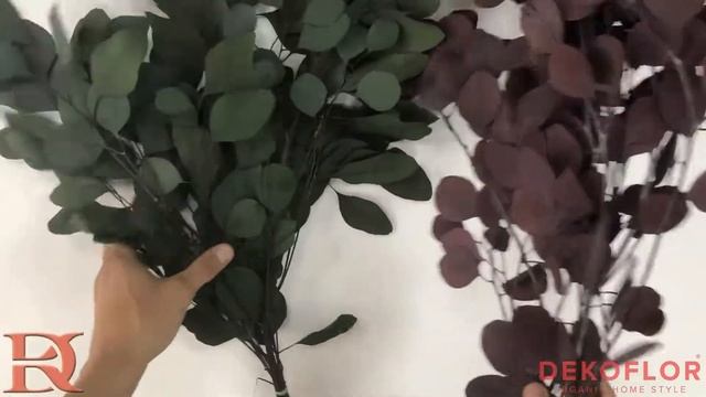 Стабилизированные ветви эвкалиптового тополя смотреть онлайн