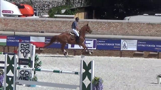 Wavo Lampard ( Papillon x Ladys Lower) CSI *2 Miškolc смотреть онлайн