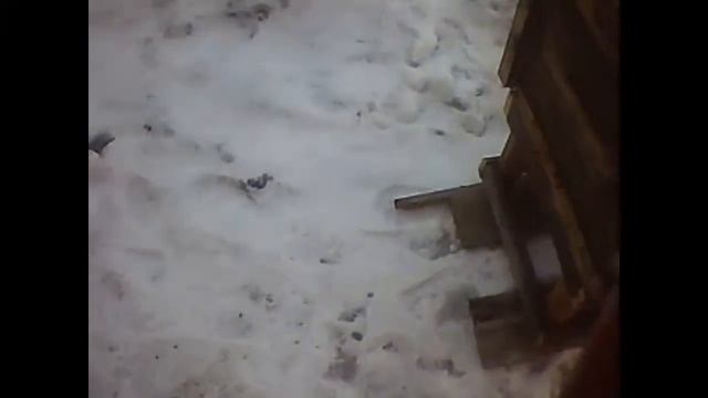 Ремонт Улья и переделка старых корпусов, часть 3. смотреть онлайн