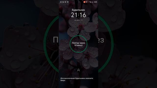10 декабря 2023 г. смотреть онлайн