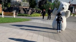 Белый медведь поздравляет с днем рождения!