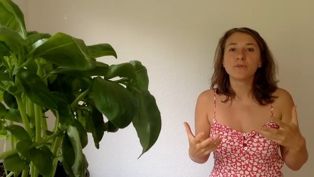 How I Healed My Hay Fever, Pollen and Ragweed Allergy after 15 Years of Struggle смотреть онлайн