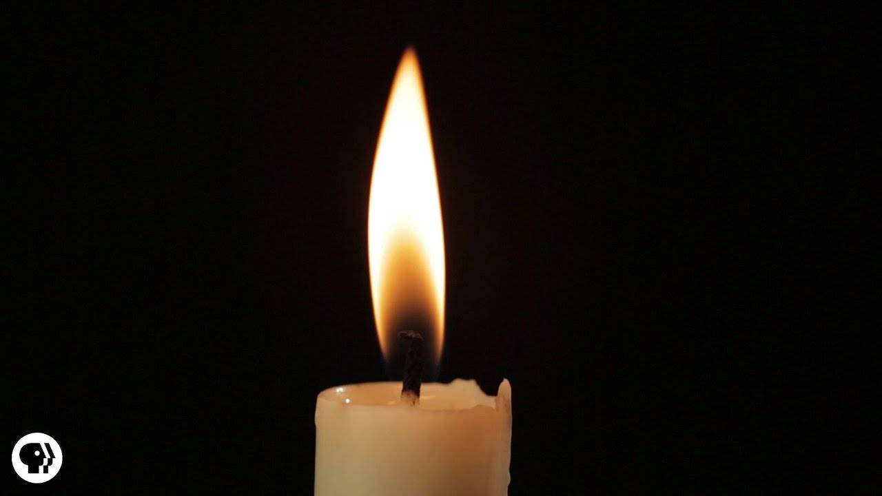 Be Smart: What Is Fire? смотреть онлайн