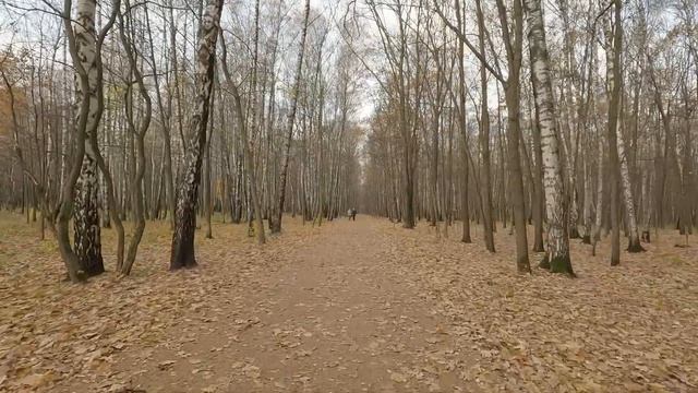 Москва, Кусковский Парк. Часть 1. смотреть онлайн