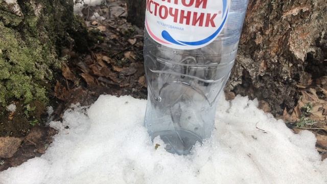 Рецепты для здорового образа жизни 