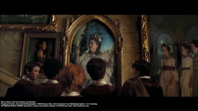 DARUM hat SIRIUS BLACK die FETTE DAME WIRKLICH ZERSTÖRT! 😡 смотреть онлайн