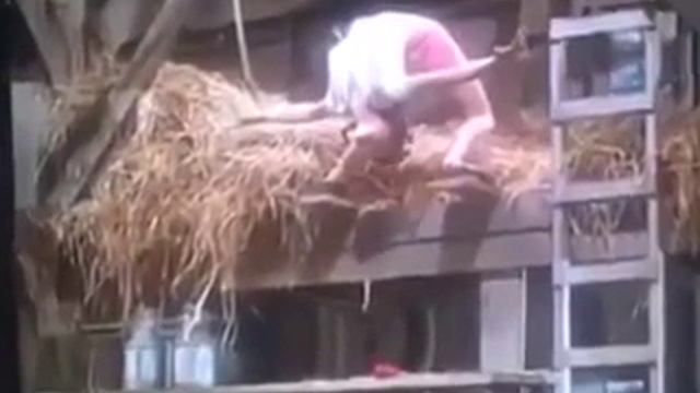 Гимнасточка творит Чудеса в Колхозном сарае! смотреть онлайн