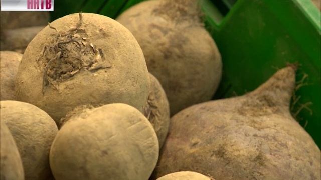 Россельхознадзор информирует 26-05-16 смотреть онлайн