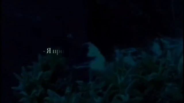 Самые грустные цитаты из мультиков и фильмов 😭 смотреть онлайн