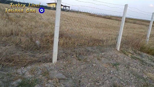 Влог из Турции/не даём спать Лире 😀/наш ужин 😋/поехали в огород/сидим мечтаем 😀/реальная жизнь смотреть онлайн