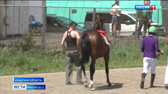 Наездник из Хабаровска взял серебро на турнире в Благовещенске смотреть онлайн