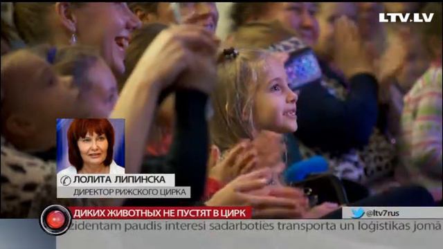 Диких животных не пустят в цирк смотреть онлайн