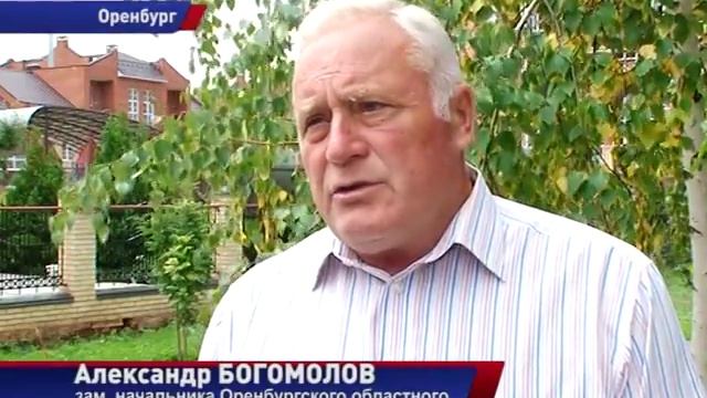 Готовим зонтики смотреть онлайн