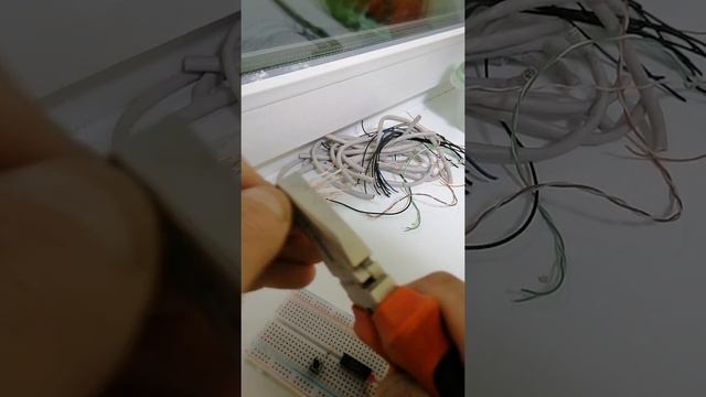 17 октября 2021 г. смотреть онлайн