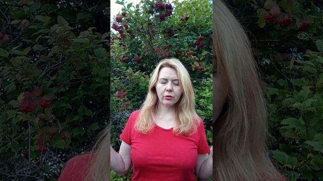 2 сентября 2020 г. Медитация заземления смотреть онлайн