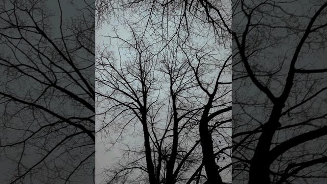 христианская песня//падал снег//я помню день смотреть онлайн