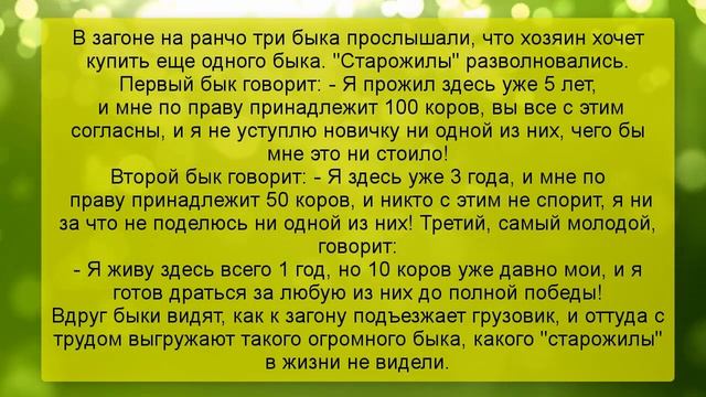 ?Очень смешные большие АНЕКДОТЫ, смех до слез??? смотреть онлайн