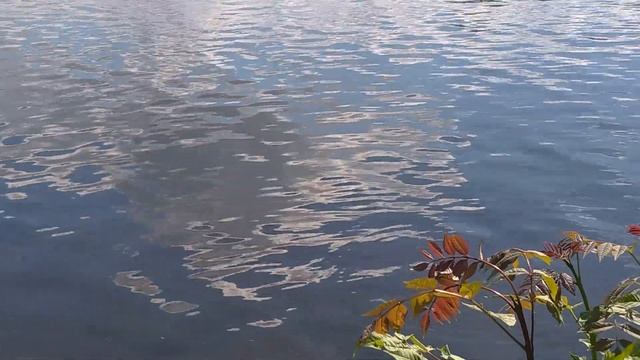 Летняя рыбалка на донку на живца смотреть онлайн