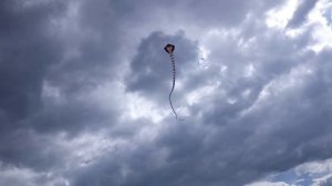 Воздушный змей Большая Змея