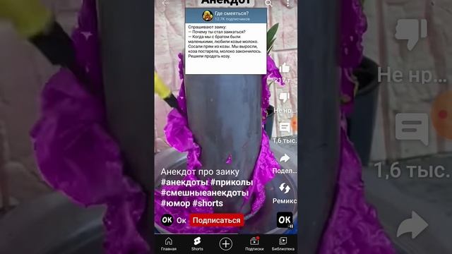 Анекдот про козу