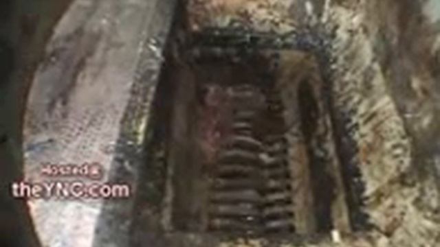 Колбасный цех в Ташкенте смотреть онлайн