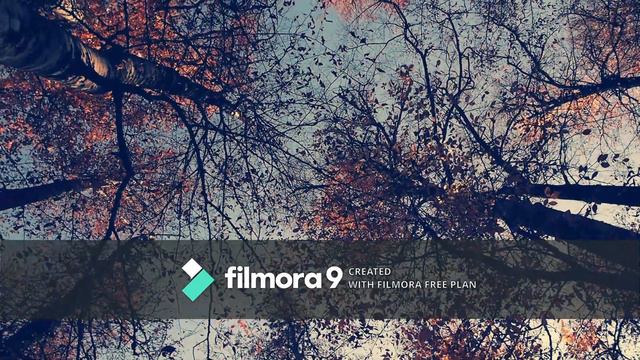 Autumn Leaves смотреть онлайн