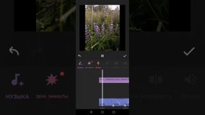 как сделать мультик из фотографий