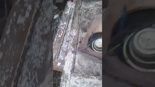 Разбор колонки смотреть онлайн