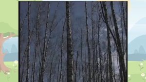 Правила поведения на природе