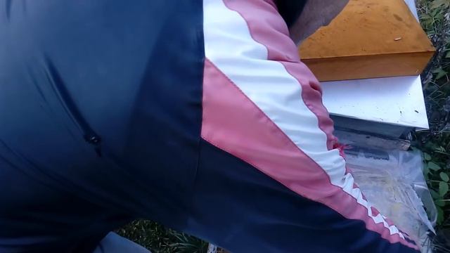 Сегодня на пасеке, 24 ноября 2018 г. Осмотр семей, формировка гнезд. 2ч. смотреть онлайн