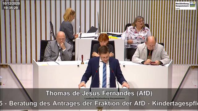 Thomas de Jesus Fernandes: Kindertagespflegepersonen leistungsgerecht vergüten! смотреть онлайн