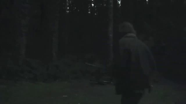 Bright Falls: The Prequel to Alan Wake смотреть онлайн