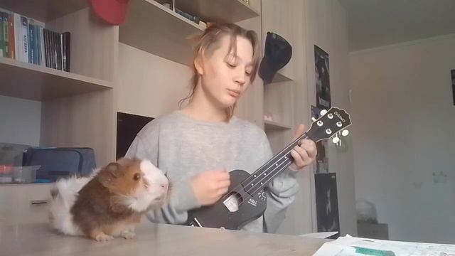 Тошик / А.Штодина песня на укулеле смотреть онлайн