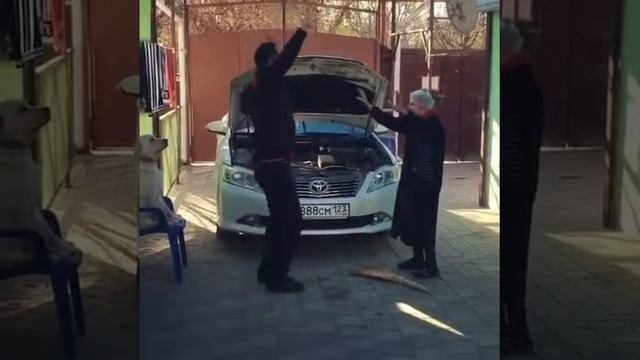 Танец Армян смотреть онлайн