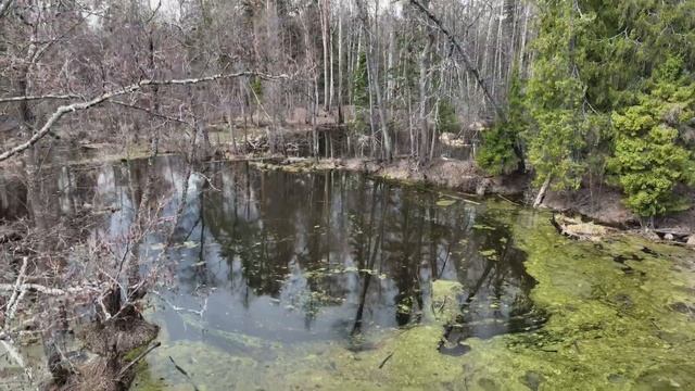 Три сосны. Старица Илети смотреть онлайн