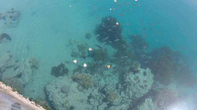 Palm Beach Resort Eurotel Hurghada. 02.05.2019. Около пирса. 2. смотреть онлайн