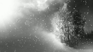 Футаж. Зимний пейзаж 49