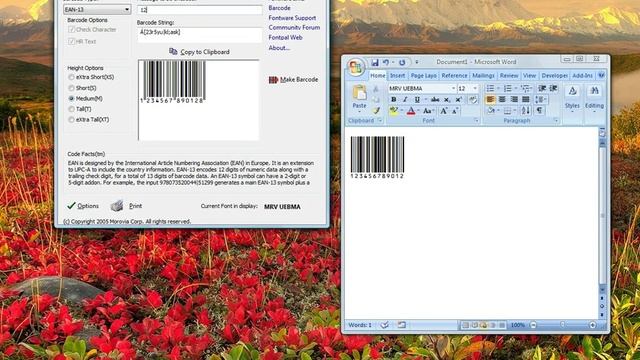 Creating UPC-A EAN-13 barcodes with Morovia FontPal смотреть онлайн